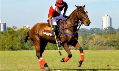 El polo paraguayo es el primer país en latinoamérica con el protocolo aprobado. Foto: SND.