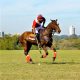 El polo paraguayo es el primer país en latinoamérica con el protocolo aprobado. Foto: SND.