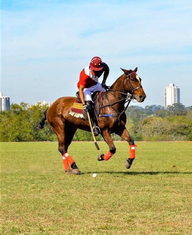 El polo paraguayo es el primer país en latinoamérica con el protocolo aprobado. Foto: SND.