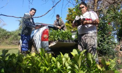 Yerbateros se sienten exluídos. Foto: MAG