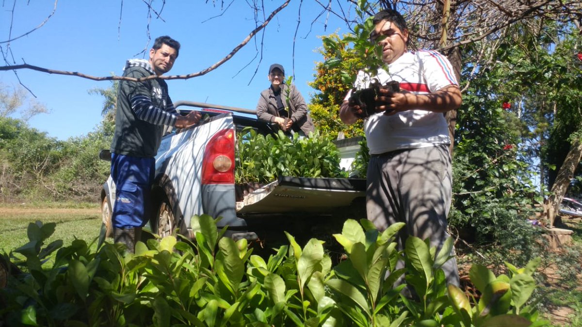 Yerbateros se sienten exluídos. Foto: MAG