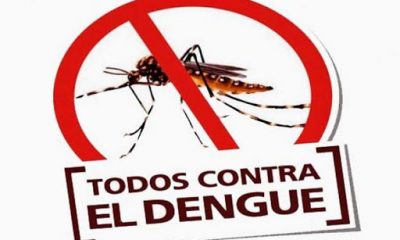 El Dengue no da tregua a Paraguay. Foto. Elsemanario