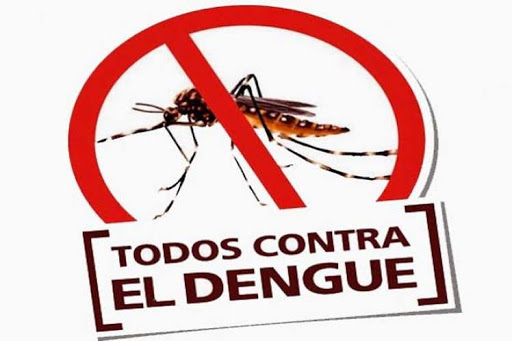 El Dengue no da tregua a Paraguay. Foto. Elsemanario