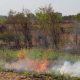 Incendio en Costanera de Asunción. RadioLibertad