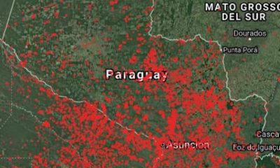 Casi 2.000 focos de incendio se registraron. Gentileza