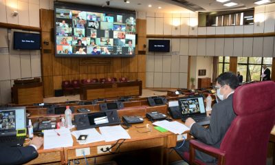 Sesión virtual de la Cámara de Senadores. Foto: Senado.