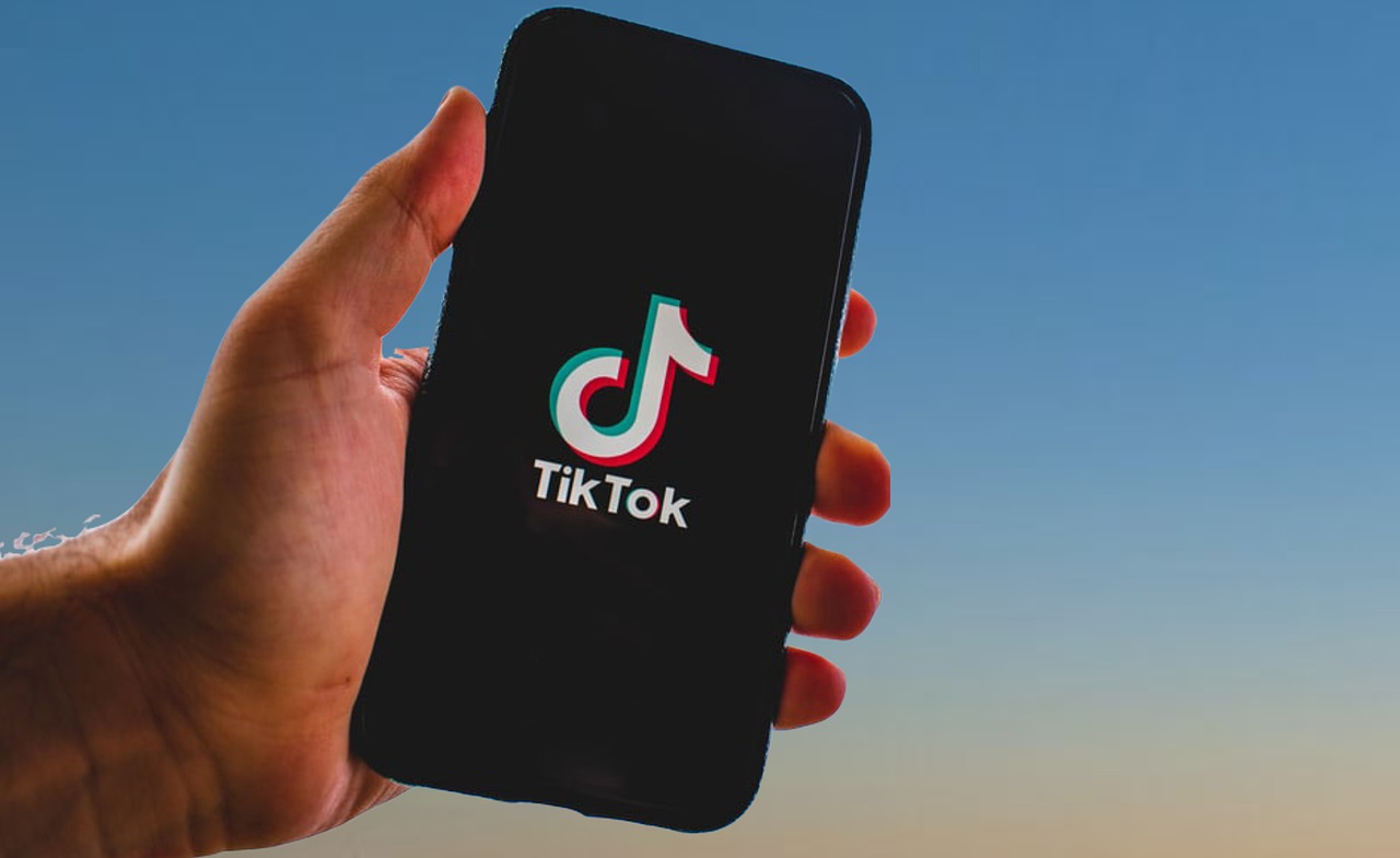 TikTok y sus ganancias en el 2020. Foto: Pixabay.