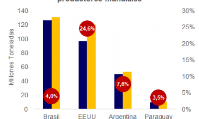 La superficie de siembra en Paraguay es de 3.6 millones de Há. Gráfico: Mentu