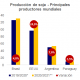 La superficie de siembra en Paraguay es de 3.6 millones de Há. Gráfico: Mentu