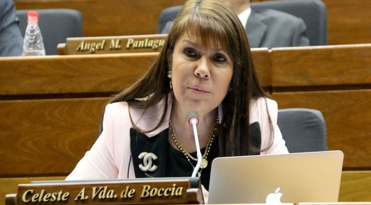 Diputada Celeste Amarilla. Foto: Archivo
