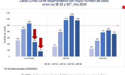 Central superó a Alto Paraná como epicentro de la pandemia. Gráfico MSP