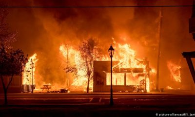 Los incendios han consumido más de 3.625 kilómetros cuadrados. Foto: DW