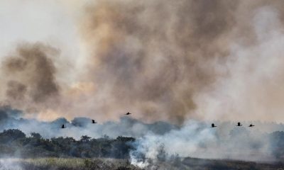 Se adoptarán medidas y recursos financieros para el departamento. Foto: Agencia IP