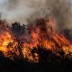 Entre julio y octubre en Córdoba se quemaron más de 2.000 kilómetros cuadrados de bosques. Foto: Fundación Mil Aves