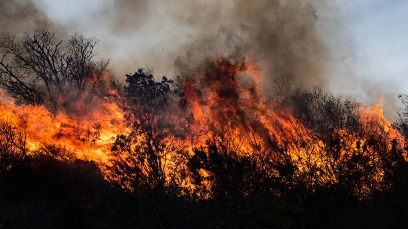 Entre julio y octubre en Córdoba se quemaron más de 2.000 kilómetros cuadrados de bosques. Foto: Fundación Mil Aves