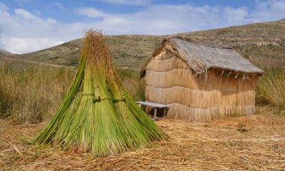 En la Isla Parati, en el lago Titicaca en Bolivia será uno de los temas de la charla de Adriana Almada y Joaquín Sánchez. Foto: Gentileza.