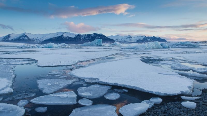 Para algunos científicos, manipular la naturaleza podría causar daños aun mayores. Foto: BBC