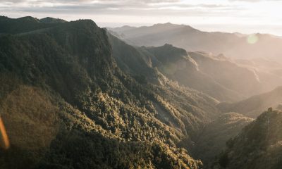 El Pacto Verde Europeo es una hoja de ruta para dotar a la UE de una economía sostenible. Foto: Freepik.