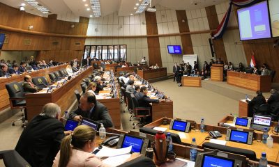 Camara de Diputados. Gentileza HCD