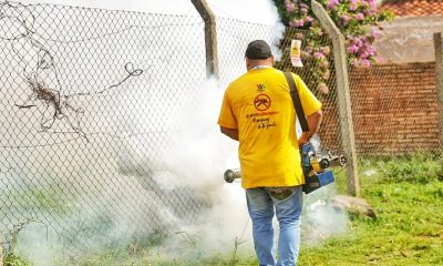 Fumigación. Foto: Gentileza