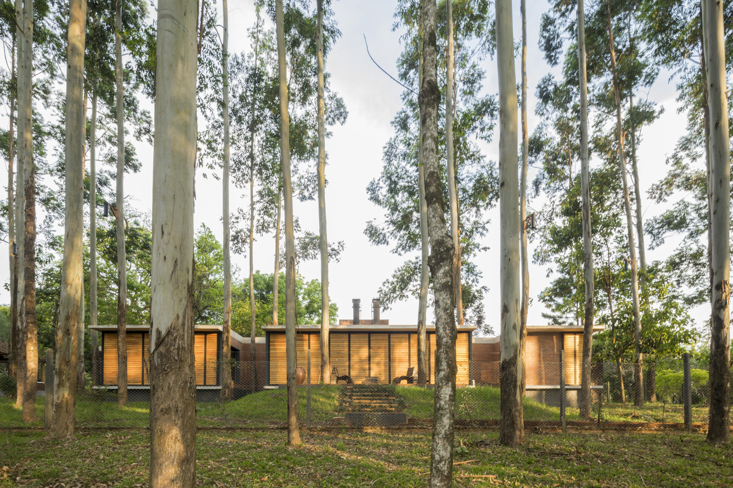 Los bosques urbanos son la espina dorsal de la infraestructura verde. Foto: Gentileza