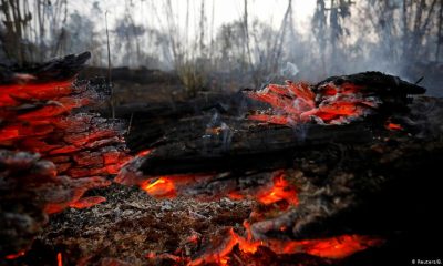 Incendios tienen como origen la deforestación. Foto: DW