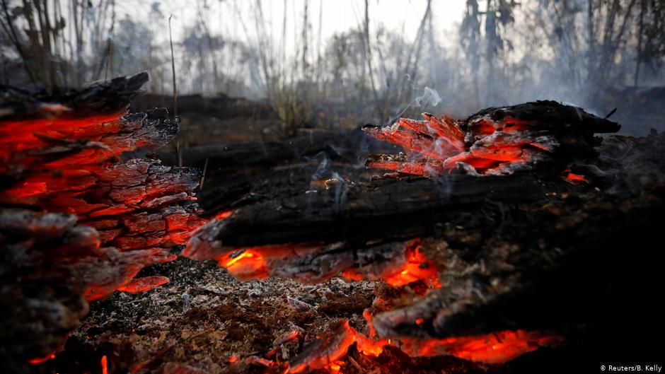 Incendios tienen como origen la deforestación. Foto: DW