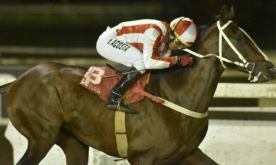 A sus 24 años, Miguel Franco Acosta lleva más de 500 carreras ganadas, compitiendo con jockeys reconocidos a nivel mundial. Foto: Gentileza.