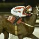 A sus 24 años, Miguel Franco Acosta lleva más de 500 carreras ganadas, compitiendo con jockeys reconocidos a nivel mundial. Foto: Gentileza.