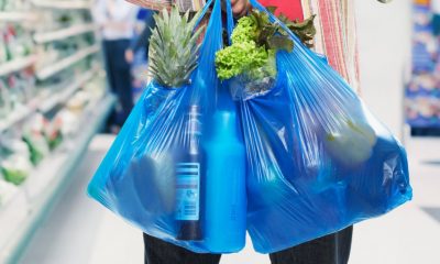 Quieren disminuir significativamente el uso de bolsas plásticas. Foto: Archivo