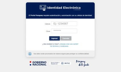 Entro otros, se podrá consultar salario si es asegurado del IPS o los Datos de Registro Único del Automotor. Foto: Captura de pantalla.