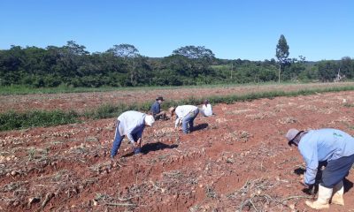 Acordaron la restructuración de G. 17.000 millones de la deuda del sector agrícola. Foto: IP