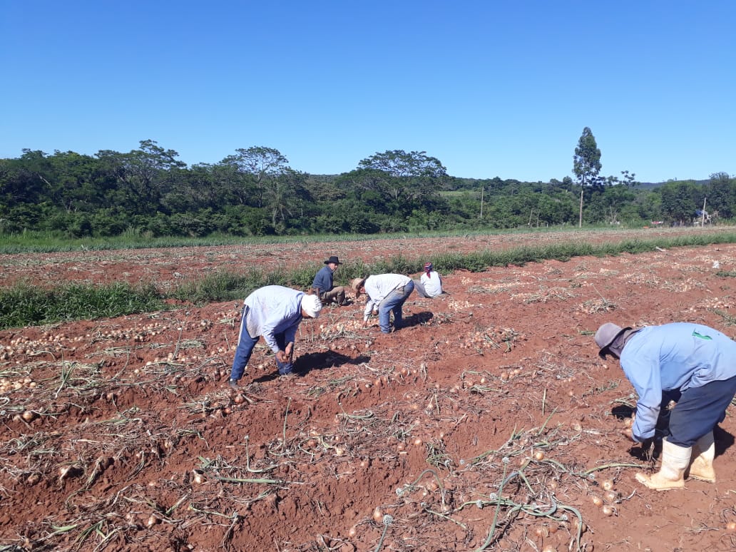 Acordaron la restructuración de G. 17.000 millones de la deuda del sector agrícola. Foto: IP