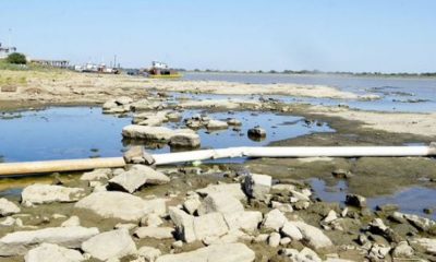 Adelantarían la veda pesquera por histórica bajante del río Paraguay. Foto: Twitter