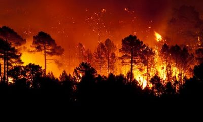 La ciencia dice que se debe favorecer un régimen de incendios ecológicamente sostenibles que eviten los insostenibles. Foto: TheConversation