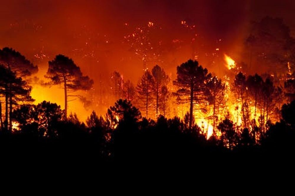 La ciencia dice que se debe favorecer un régimen de incendios ecológicamente sostenibles que eviten los insostenibles. Foto: TheConversation