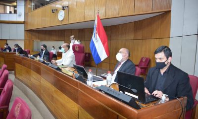 El Congreso mandó el proyecto al archivo. Foto: HCS