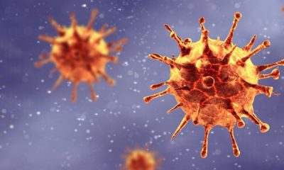 El coronavirus puede vivir 28 días en la pantalla del celular, según científicos australianos. Foto: BBC