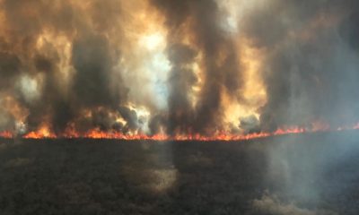 Los incendios continúan en gran parte del país. Foto: Vicente Velázquez