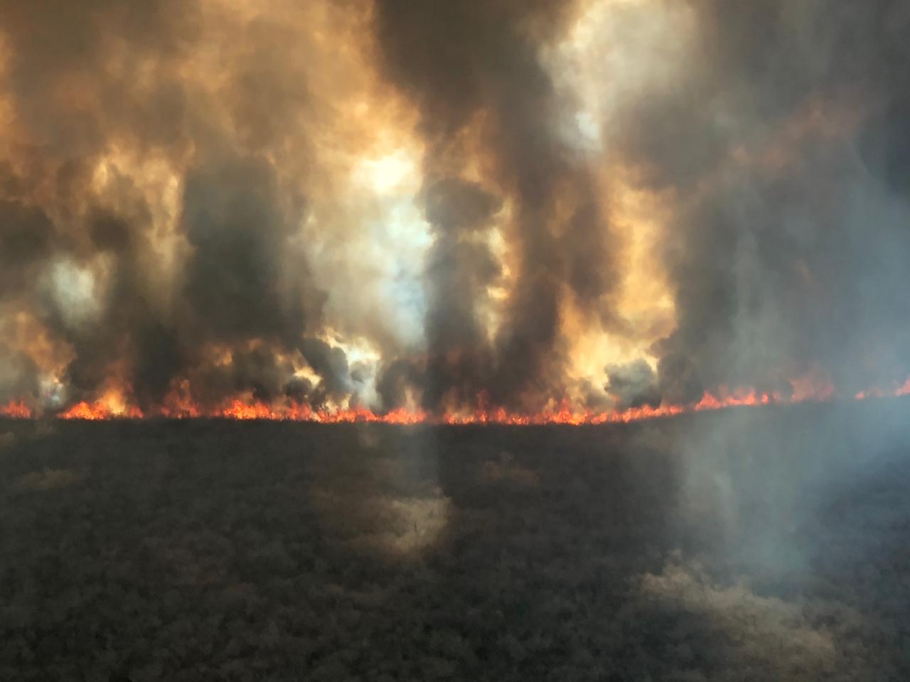 Los incendios continúan en gran parte del país. Foto: Vicente Velázquez