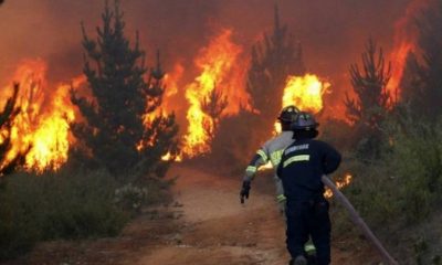 Incendios forestales no cesan. Foto: NP