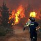 Incendios forestales no cesan. Foto: NP