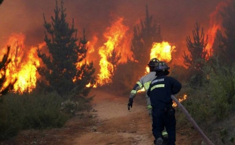 Incendios forestales no cesan. Foto: NP