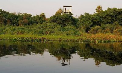 Río Negro Tres Gigantes. Foto: Parques Nacionales del Paraguay