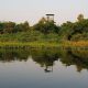 Río Negro Tres Gigantes. Foto: Parques Nacionales del Paraguay