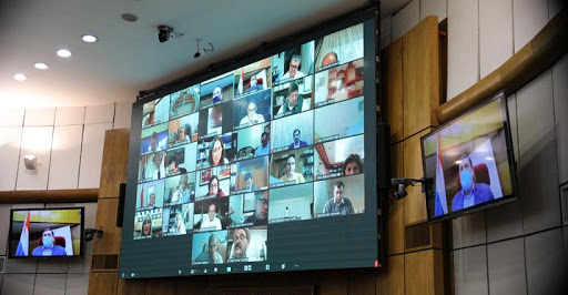 Comisión especial del Senado se reunió este miércoles. Foto: Senado