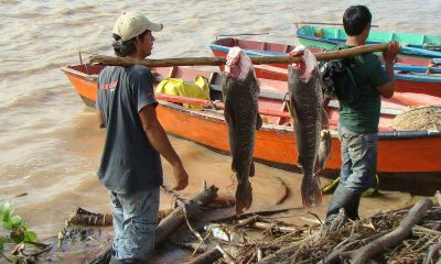 Pescadores. Foto: Agencia IP