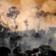 La Amazonía brasileña registró en octubre 17.326 focos de incendio. Foto: Dw