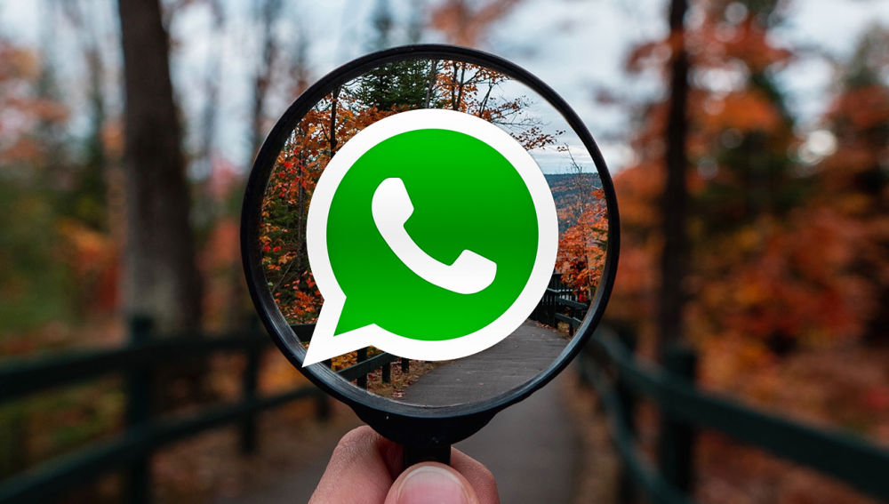 En paralelo a la app también también hay asistente de WhatsApp. Foto: Tecnoexplora