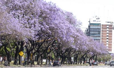 La ley entrará en vigor desde el próximo año. Foto: Télam